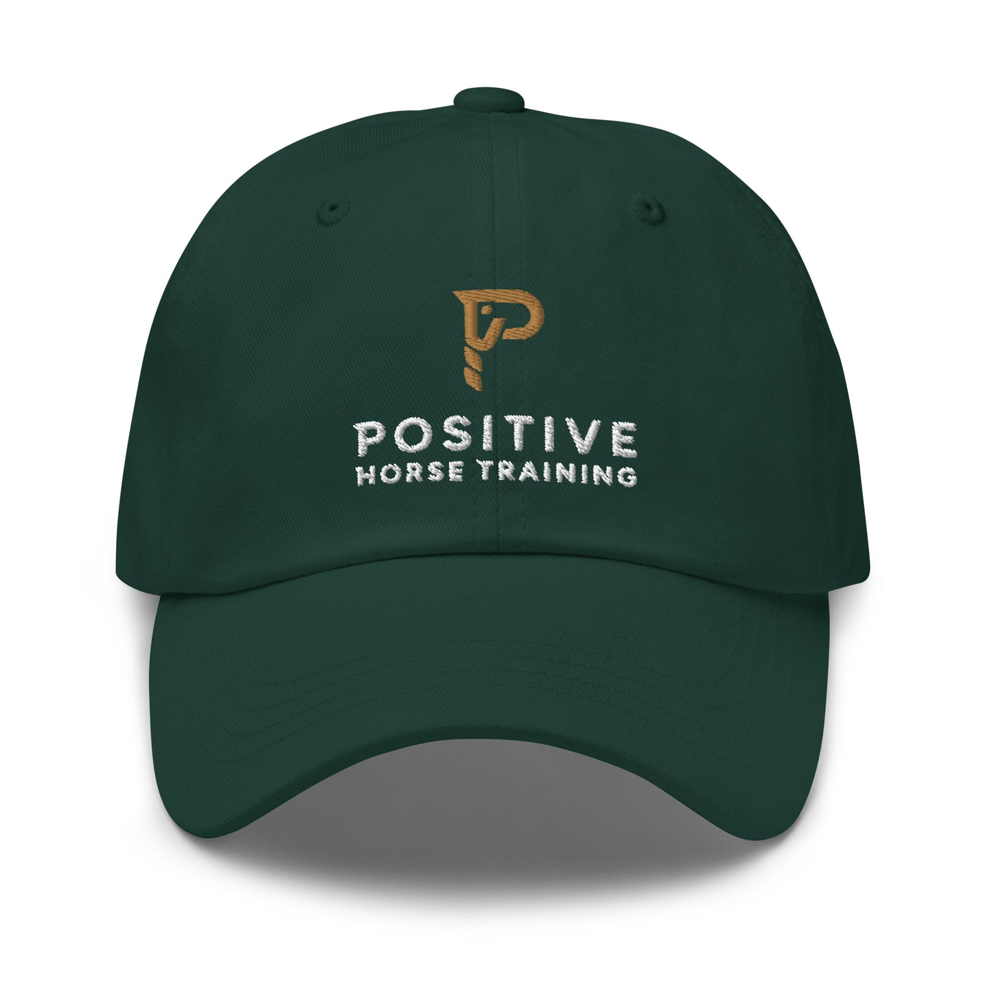 Positive Horse Training hat