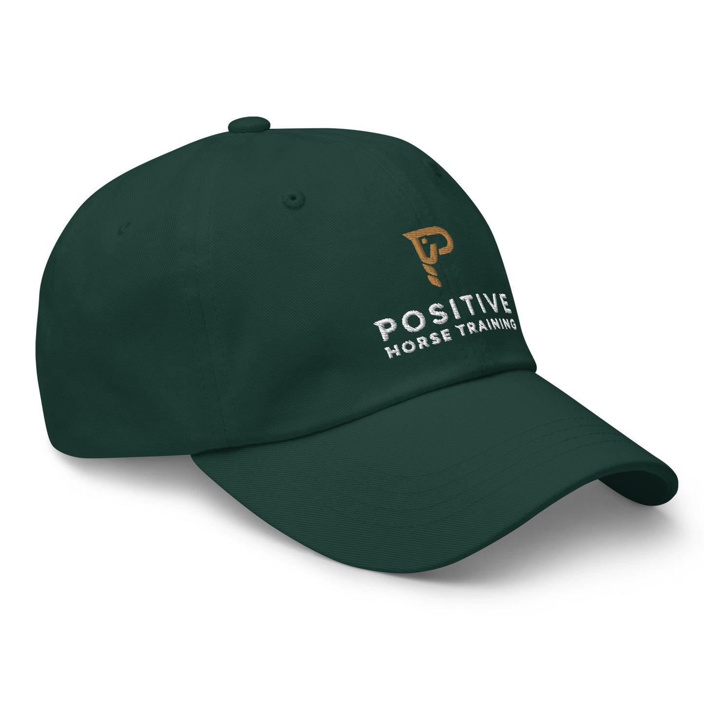 Positive Horse Training hat